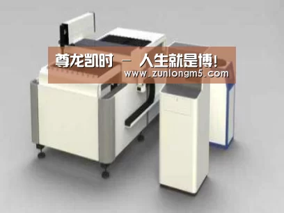 产品名称十五